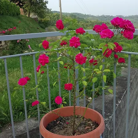 Ca' Del Monte Vakantieboerderij