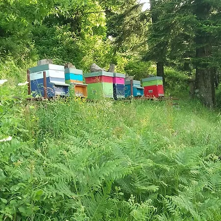 Vakantieboerderij Ca' Del Monte