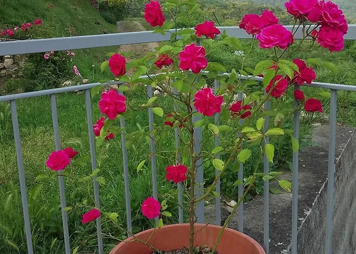 Ca' Del Monte Vakantieboerderij