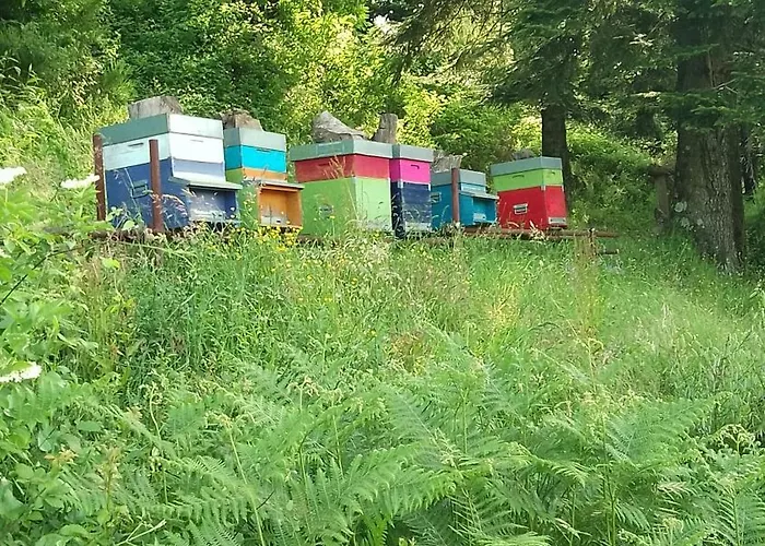 Vakantieboerderij Ca' Del Monte